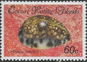 Cocos Keeling Islands 1985 Shells and Molluscs SG 147 Fine Mint