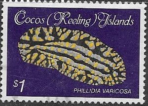 Cocos Keeling Islands 1985 Shells and Molluscs SG 148 Fine Used