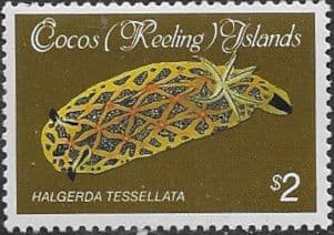 Cocos Keeling Islands 1985 Shells and Molluscs SG 149 Fine Mint
