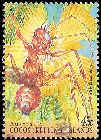 Cocos Keeling Islands 1995 Insects SG 326 Fine Used