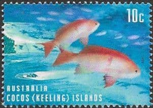 Cocos Keeling Islands 1999 Wildlife SG 372 Fine Used