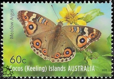 Cocos Keeling Islands 2012 Butterflies SG 475 Fine Used