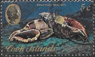 Cook Islands 1974 Sea Shells SG 472 Fine Used