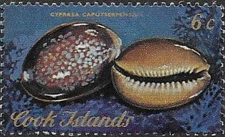 Cook Islands 1974 Sea Shells SG 473 Fine Used