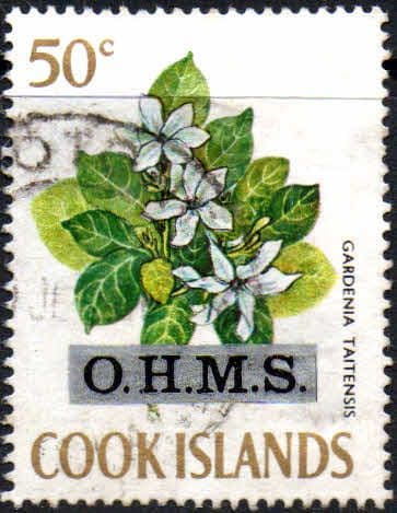 Cook Islands 1975 O.H.M.S. SG O11 Fine Used