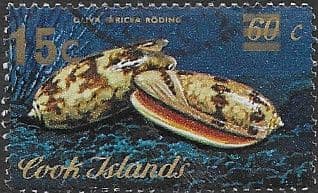 Cook Islands 1978 Shells Conus Textile Surcharged SG 610 Fine Used