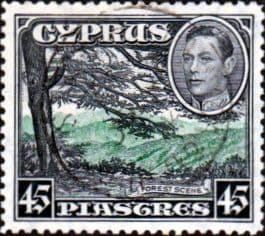 Cyprus 1938 SG 161 Forest Scene Fine Used