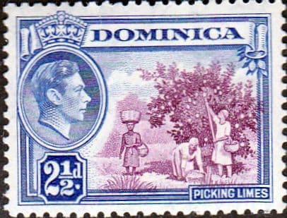 Dominica 1938 King George VI SG 103 Fine Mint