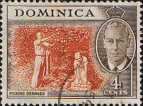 Dominica 1951 King George VI SG 124 Fine Used