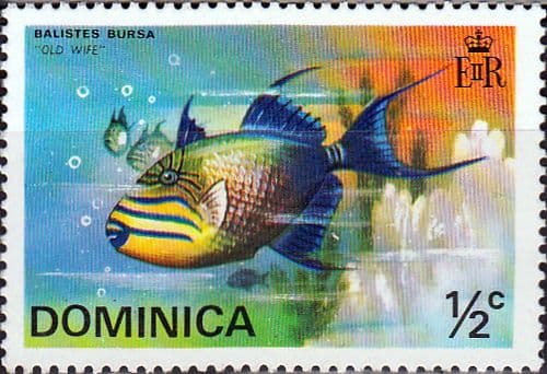 Dominica 1975 SG 452 Fishes Fine Mint
