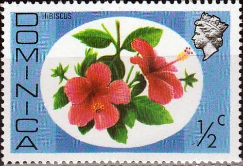 Dominica 1975 SG 490 Hibiscus Fine Mint