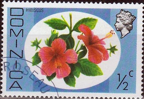 Dominica 1975 SG 490 Hibiscus Fine Used