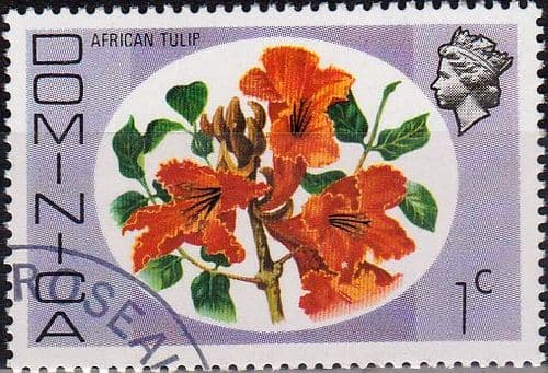Dominica 1975 SG 491 Hibiscus Fine Used