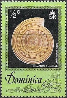 Dominica 1976 Sea Shells SG 554 Fine Mint