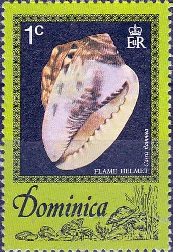 Dominica 1976 Sea Shells SG 555 Fine Mint