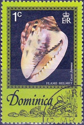 Dominica 1976 Sea Shells SG 555 Fine Used
