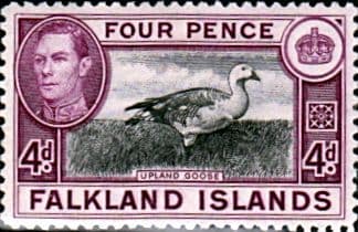 Falkland Islands 1938 SG 154 Fine Mint