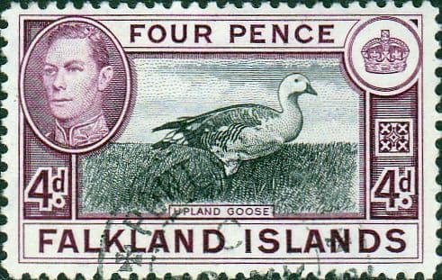 Falkland Islands 1938 SG 154 Fine Used