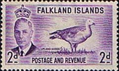 Falkland Islands 1952 SG 174 Fine Mint