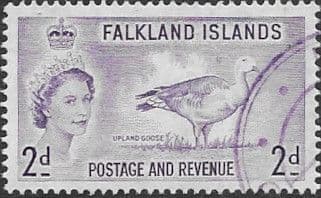 Falkland Islands 1955 SG 189 Magellan Goose Fine Used