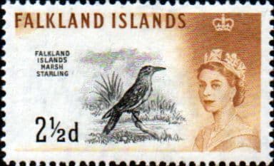 Falkland Islands 1960 SG 196 Marsh Starling Fine Mint