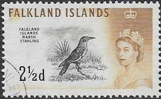 Falkland Islands 1960 SG 196 Marsh Starling Fine Used
