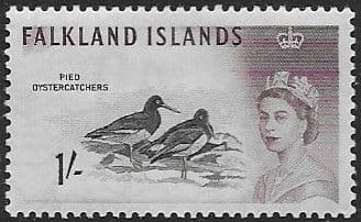 Falkland Islands 1960 SG 202 Pied Oystercatcher Fine Mint