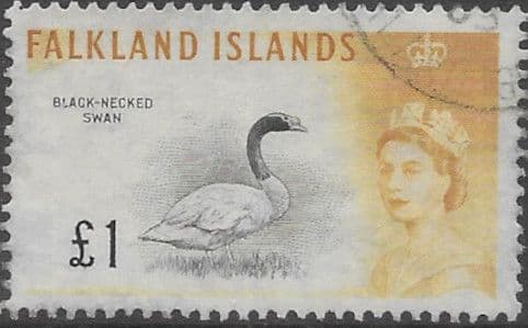 Falkland Islands 1960 SG 207 £1 Black-necked Swan Fine Mint