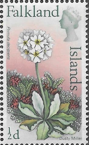 Falkland Islands 1968 Flowers SG 232 Dusty Miller Fine Mint