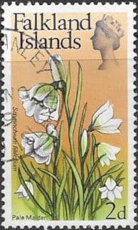 Falkland Islands 1968 Flowers SG 234 Pale Maiden Fine Used