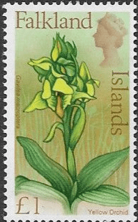 Falkland Islands 1968 Flowers SG 245 Yellow Orchid Fine Mint