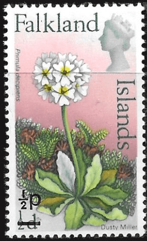 Falkland Islands 1971 Decimal Surcharged Flower SG 276 Dusty Miller Fine Mint