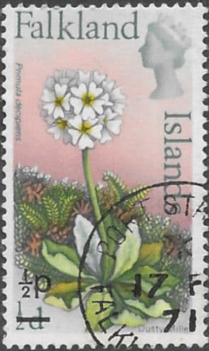 Falkland Islands 1971 Decimal Surcharged Flower SG 276 Dusty Miller Fine Used