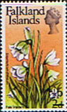 Falkland Islands 1971 Decimal Surcharged Flower SG 278 Pale Maiden Fine Mint