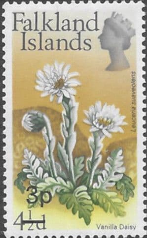 Falkland Islands 1971 Decimal Surcharged Flower SG 281 Vanilla Daisy Fine Mint