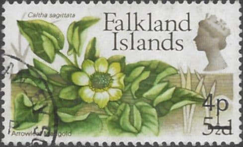 Falkland Islands 1971 Decimal Surcharged Flower SG 282 Arrowleaf Marigol Fine Used