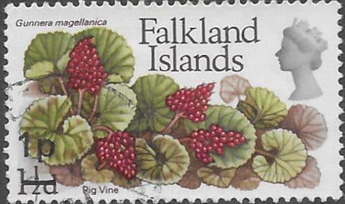 Falkland Islands 1971 Decimal Surcharged SG 277 Pig Vine Fine Used