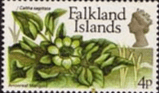 Falkland Islands 1972 Decimal Flower SG 282 Arrowleaf Marigold Fine Mint