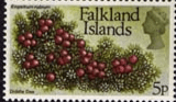 Falkland Islands 1972 Decimal Flower SG 283 Diddle Dee Fine Mint