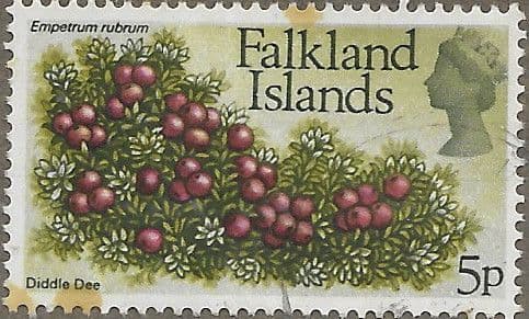 Falkland Islands 1972 Decimal Flower SG 283 Diddle Dee Fine Used