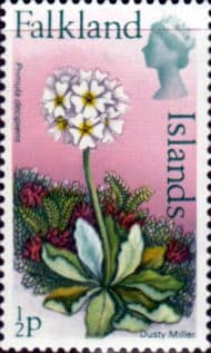 Falkland Islands 1972 Decimal Flowers SG 276 Dusty Miller Fine Mint
