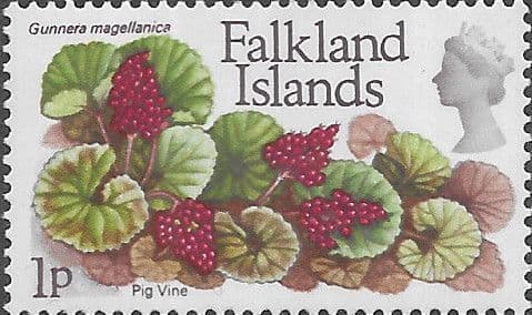 Falkland Islands 1972 Decimal Flowers SG 277 Pig Vine Fine Mint