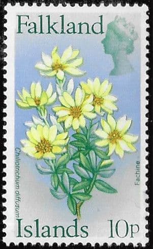 Falkland Islands 1972 Decimal Flowers SG 286 Fine Mint