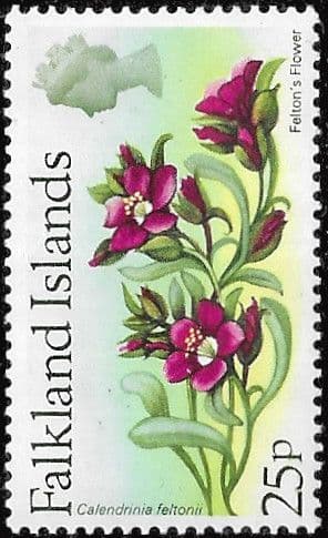 Falkland Islands 1972 Decimal Flowers SG 288 Fine Mint
