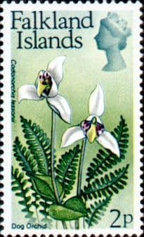 Falkland Islands 1972 Decimal Flowers Used