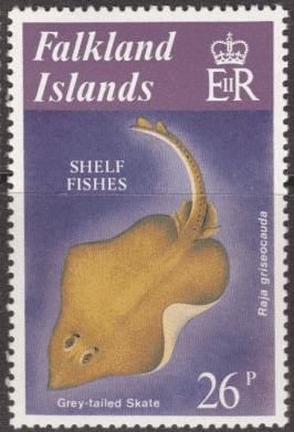 Falkland Islands 1981 Shelf Fishes SG 416 Fine Mint