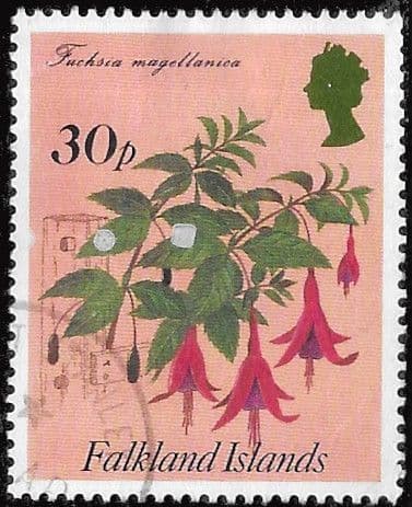 Falkland Islands 1995 Flowering Shrubs Sg 729 Fine Used