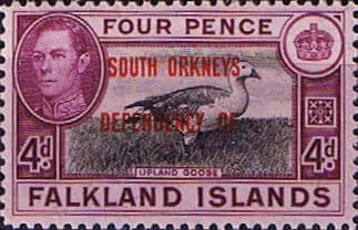Falkland Islands Dependencies 1944 South Orkneys SG C5 Fine Mint