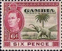 Gambia 1938 King George VI Elephant SG 155 Fine Mint