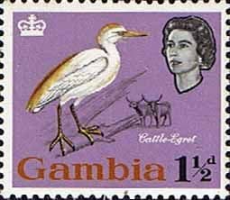 Gambia 1963 Birds Cattle egret SG 195 Fine Mint